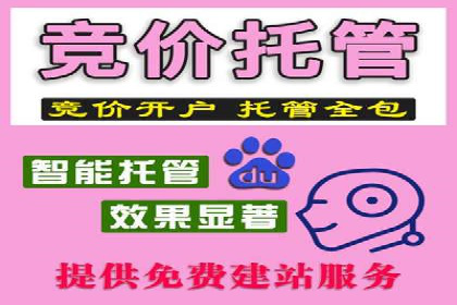 案例展示：SEM竞价优化如何实现低成本高转化